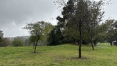 Spot 1