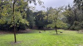 Griffith Park - 2nd Hold