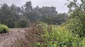 South Pas Nature Center - Not Clear