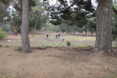 Enlarge photo 1