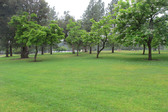 Veteran's Mem Park - Files - Not Clear