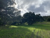 Enlarge photo 1