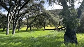 Ventura Farms - 3rd Hold