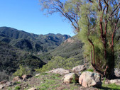 Enlarge photo 18