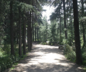 Enlarge photo 2