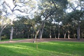 Descanso Gardens