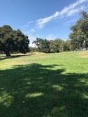 Enlarge photo 1