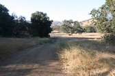 Enlarge photo 30