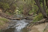 Enlarge photo 29