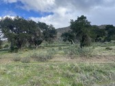 Enlarge photo 1