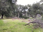 Sable Ranch