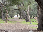 Enlarge photo 18