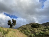 Enlarge photo 25