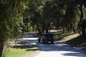 Enlarge photo 39