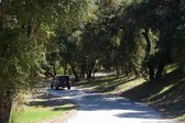 Enlarge photo 42