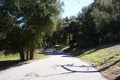 Enlarge photo 43