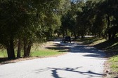 Enlarge photo 44