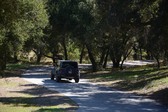 Enlarge photo 45