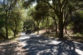 Enlarge photo 47