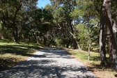 Enlarge photo 56