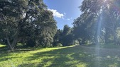 Moonshine Meadow - 1st Hold