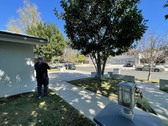Enlarge photo 15