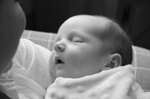 Enlarge photo 36