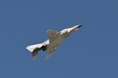 Enlarge photo 40