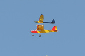 Enlarge photo 63