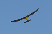 Enlarge photo 64