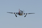 Enlarge photo 67