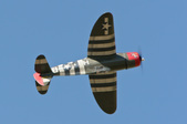 Enlarge photo 71