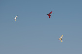 Enlarge photo 53