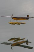 Enlarge photo 56