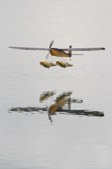 Enlarge photo 58