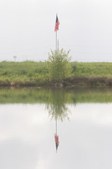 Enlarge photo 59