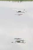 Enlarge photo 62