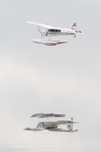 Enlarge photo 63