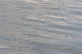 Enlarge photo 82