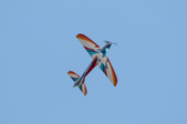 Enlarge photo 1