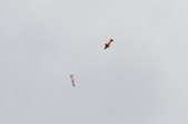 Enlarge photo 46