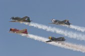 Enlarge photo 54