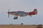Enlarge photo 67