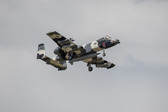 Enlarge photo 51