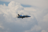 Enlarge photo 56