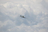 Enlarge photo 75
