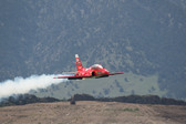 Enlarge photo 87
