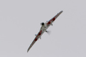 Enlarge photo 31