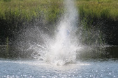 Enlarge photo 25