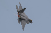 Enlarge photo 59